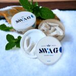 Hộp snus 20 túi ngậm Nicotine Swag Minto White Slim hương bạc hà 25m g