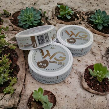Hộp Snus 20 túi ngậm Nicotine White Gold Java hàm lượng Nic 25mg 1