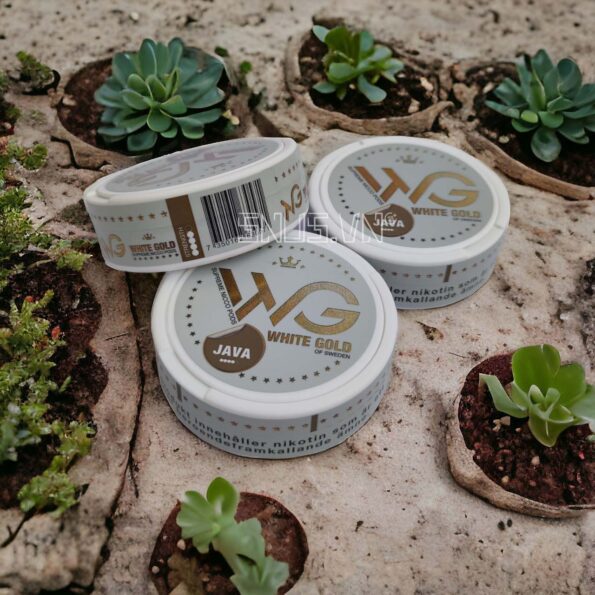 Hộp Snus 20 túi ngậm Nicotine White Gold Java hàm lượng Nic 25mg 1